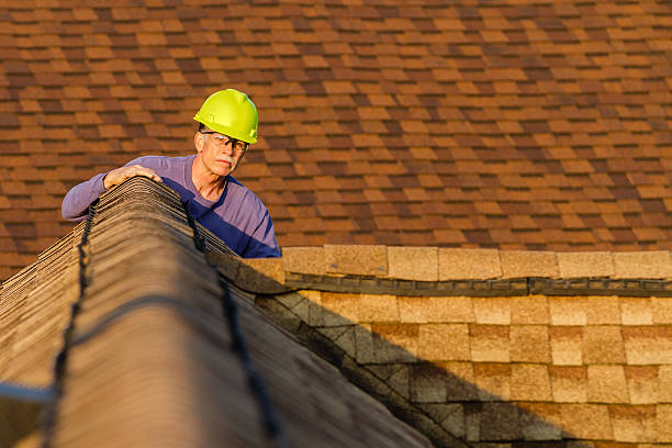 Best Roof Gutter Cleaning  in Placerville, CA